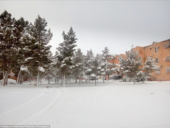 tuyet phu trang sa mac sahara