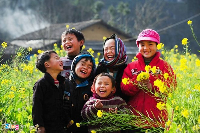 anh dep hoa xuan tren cac mien to quoc