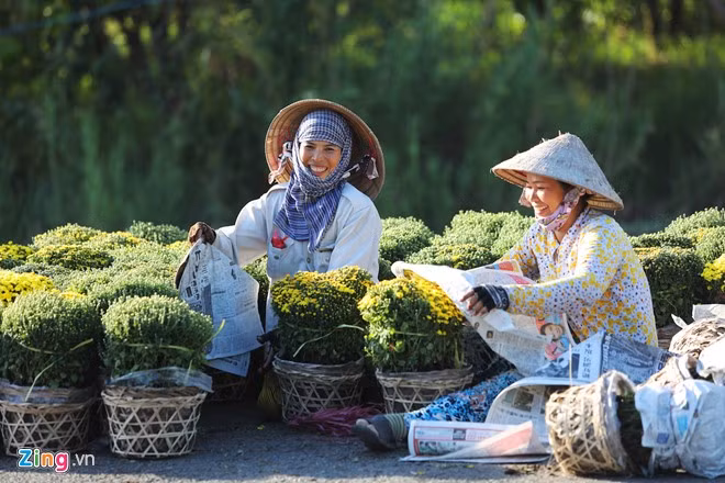 anh dep hoa xuan tren cac mien to quoc