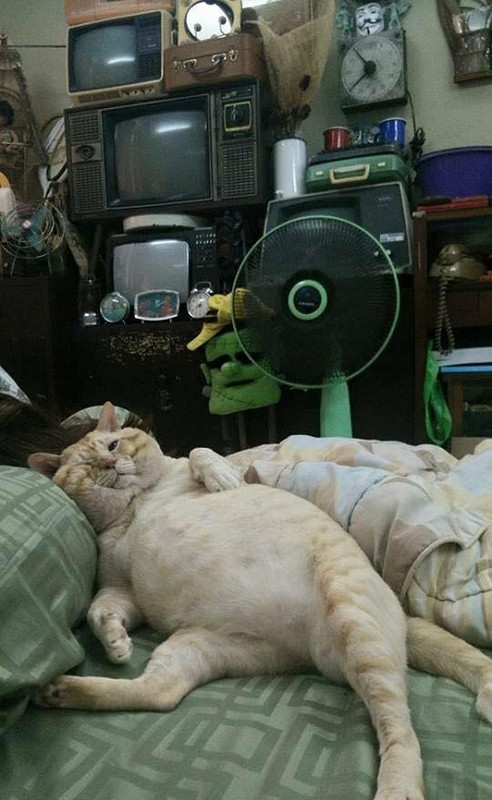 10 anh hai hot nhat facebook trong ngay