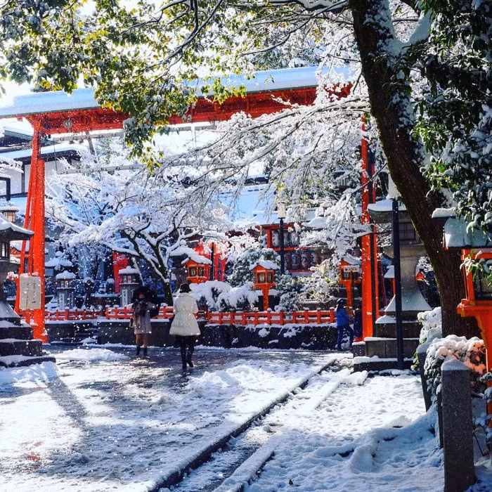 tokyo hoa xu so than tien trong ngay tuyet roi