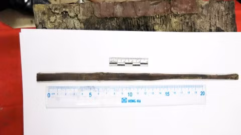 chuyen gia khao co noi ve viec tim thay mo trang trinh