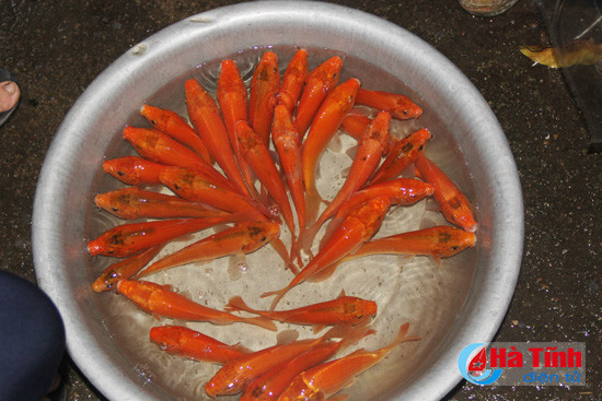 nhon nhip thi truong ngay tet ong cong ong tao