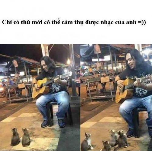 10 anh hai hot nhat facebook trong ngay