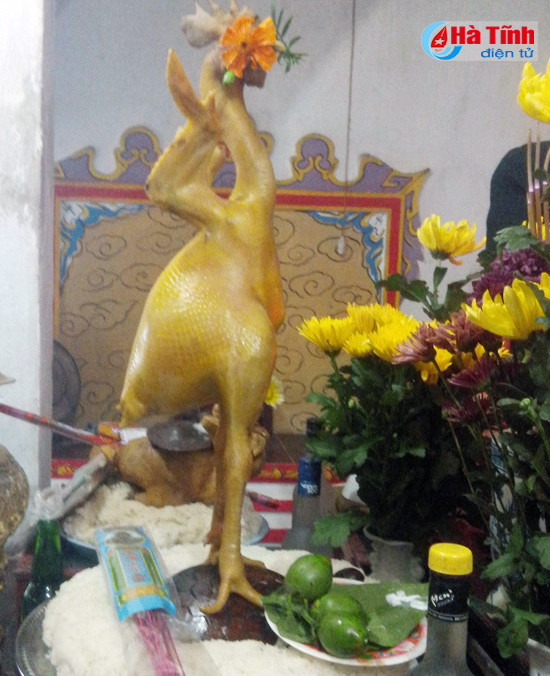 dac sac hoi thi lam co cung dau xuan