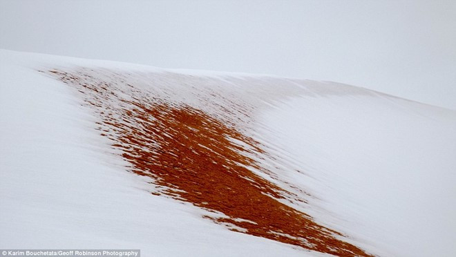 tuyet phu trang sa mac sahara