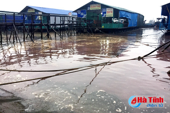 vang nuoc mau do o cang vung ang la hien tuong thien nhien