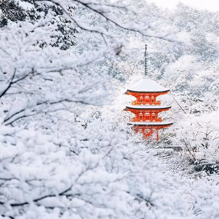 tokyo hoa xu so than tien trong ngay tuyet roi