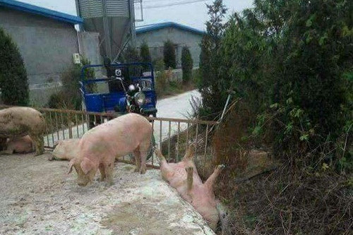 10 anh hai hot nhat facebook trong ngay