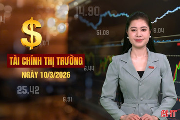 Tài chính thị trường ngày 10/3: Chứng khoán giảm điểm sâu, nhà đầu tư nên làm gì?