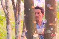 Nghề lạ xứ trầm: Tạo vết thương để “đánh thức” trầm hương