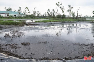 Trại lợn gây ô nhiễm kéo dài, người dân bức xúc