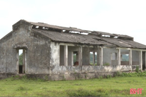 Trạm truyền giống chăn nuôi hoang tàn, gây lãng phí quỹ đất
