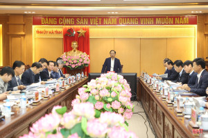 Hà Tĩnh cho ý kiến về các dự án dân cư, sân golf, thủy sản và năng lượng