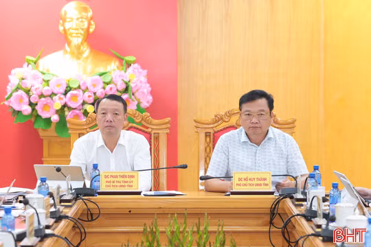 Chủ tịch UBND tỉnh chỉ đạo trực tuyến công tác phòng chống cháy rừng