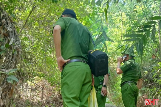 Phát hiện thi thể trong rừng, cơ quan chức năng vào cuộc xác minh danh tính