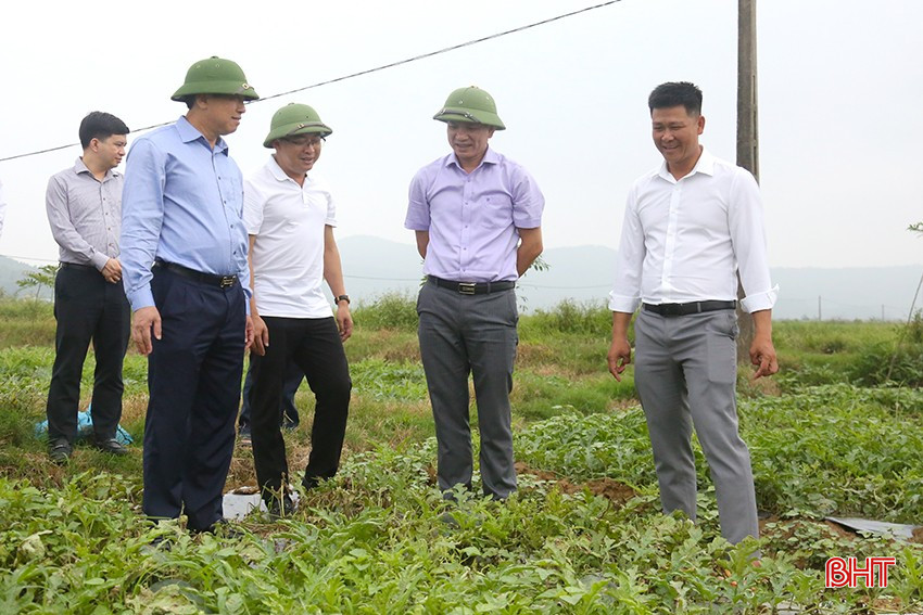 รองประธานสภาประชาชนจังหวัดตรวจเยี่ยมการผลิตแตงโมในตำบลซวนหง bqbht_br_6-4818.jpg