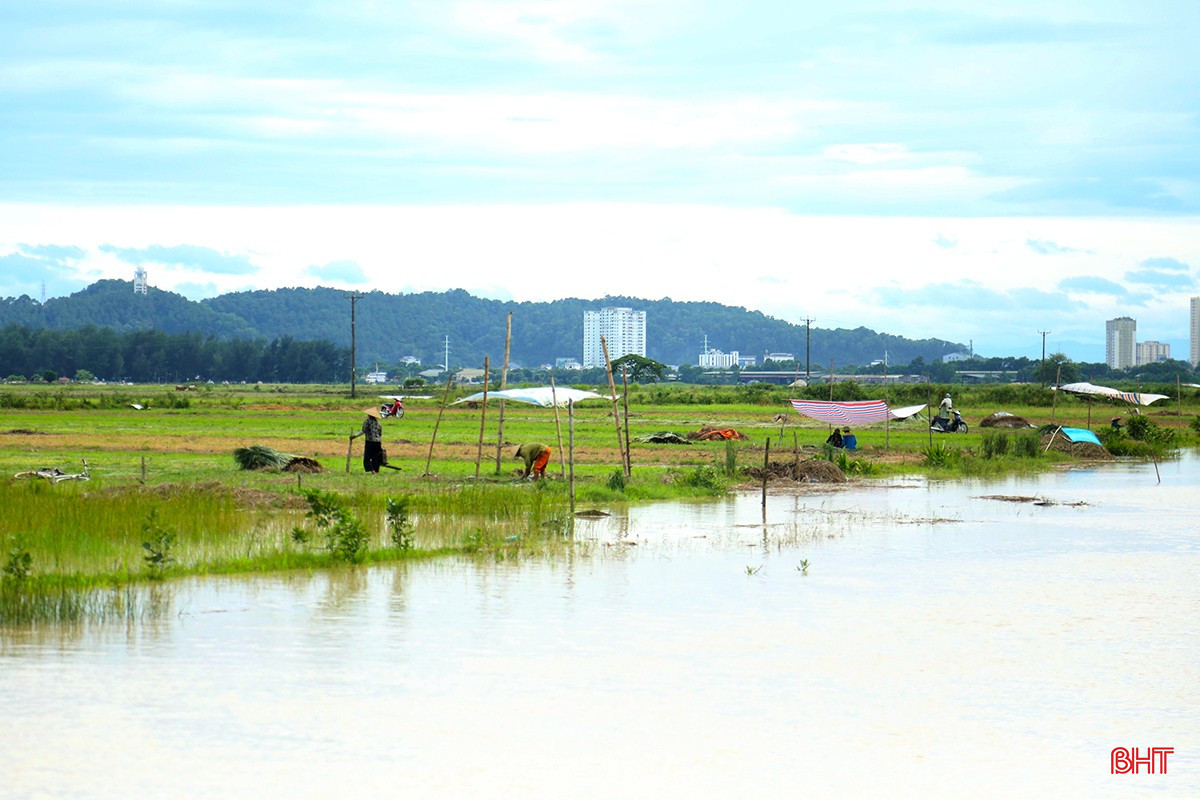 ในทุ่งกก ชาวบ้านหลายสิบหลังคาเรือนใน bqbht_br_11.jpg