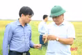 Tăng cường hỗ trợ người dân bảo quản, chế biến lúa sau thu hoạch