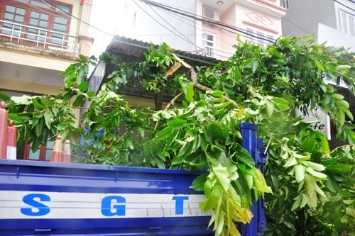 Bão Rammasun thổi bay hàng chục mái nhà, 1 thuyền và ca nô bị chìm ảnh 6