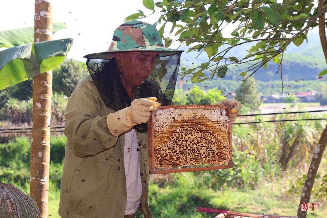 Những điểm đến hấp dẫn khi về với Vũ Quang