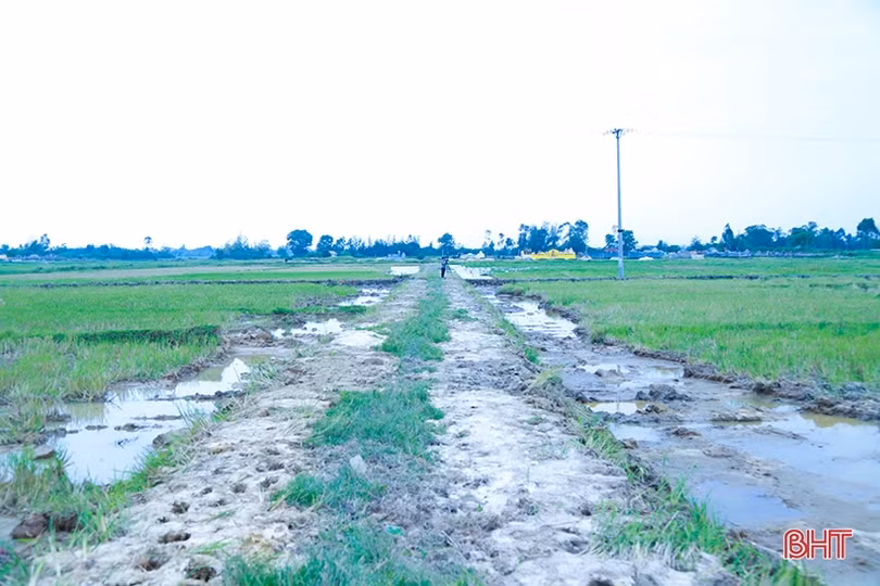 Nhiều địa phương ở Hà Tĩnh rầm rộ ra quân phá bờ vùng bờ thửa