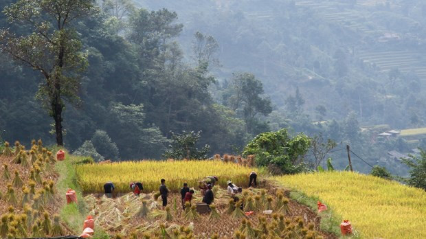Bảo tồn nét văn hóa đặc trưng của dân tộc Cờ Lao ở Hà Giang hình ảnh 1 Bảo tồn nét văn hóa đặc trưng của dân tộc Cờ Lao ở Hà Giang