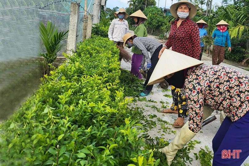 Nông dân Hà Tĩnh tổ chức nhiều hoạt động chào mừng ngày thành lập Hội
