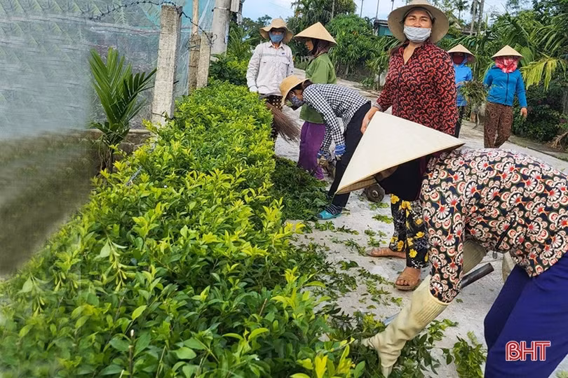Nông dân Hà Tĩnh tổ chức nhiều hoạt động chào mừng ngày thành lập Hội