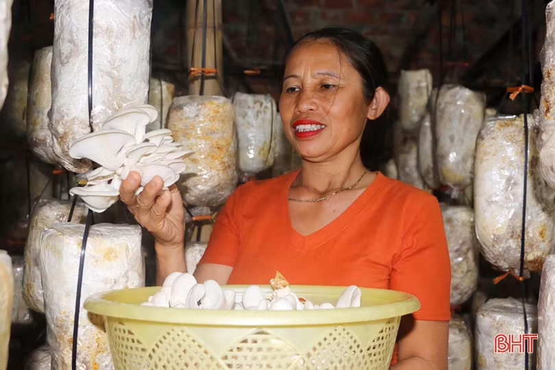 Mạnh dạn đầu tư, cơ sở của bà Sen mỗi năm cung cấp ra thị trường gần 15 tấn nấm