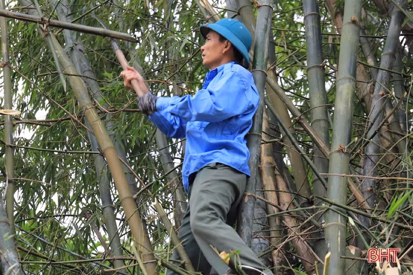 Huy động hơn 1.000 người giúp xã Sơn Giang xây dựng NTM nâng cao