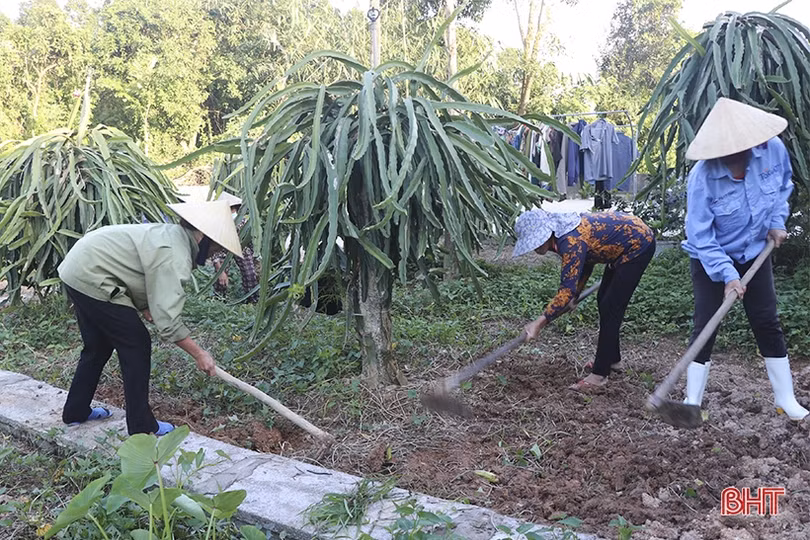 Phụ nữ Can Lộc góp sức làm đẹp làng quê