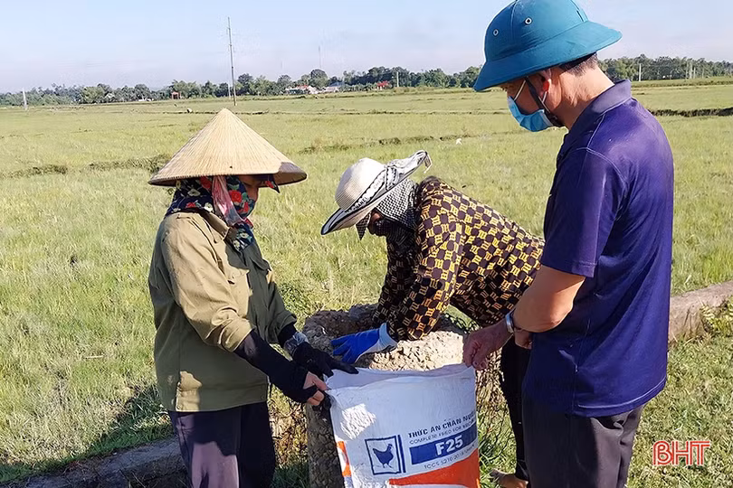 Hãy bỏ bao bì thuốc bảo vệ thực vật sau khi sử dụng vào bể như ở Hương Sơn