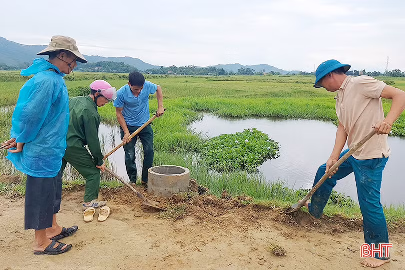 Hãy bỏ bao bì thuốc bảo vệ thực vật sau khi sử dụng vào bể như ở Hương Sơn
