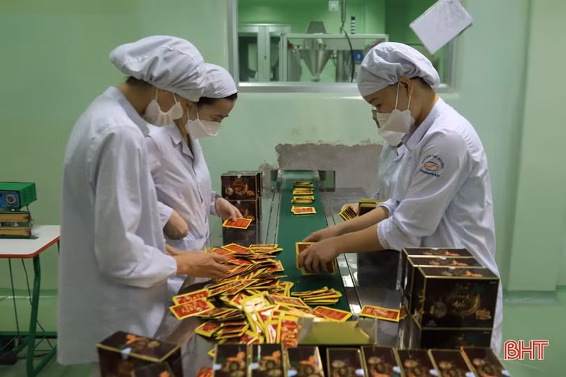 Sâm nhung mật ong - sản phẩm công nghiệp nông thôn tiêu biểu Hà Tĩnh