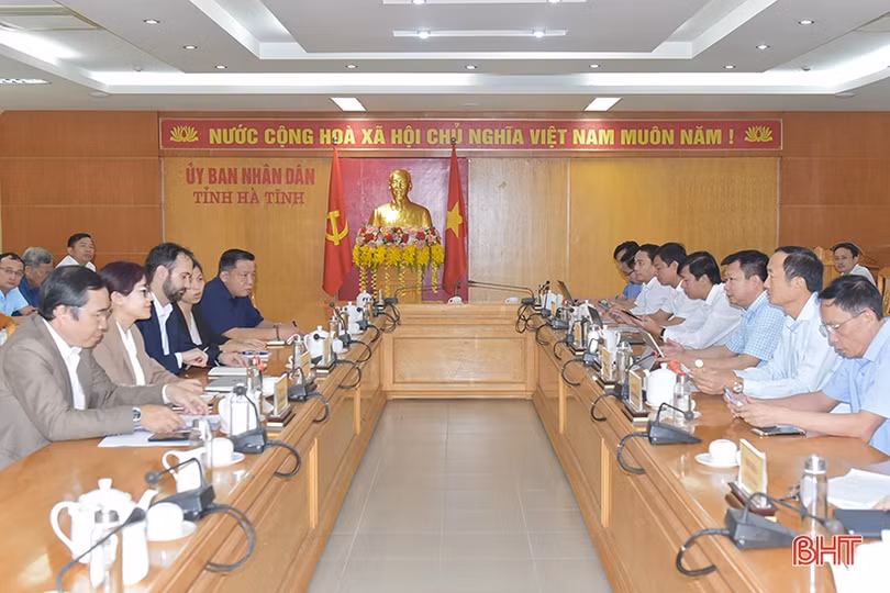 Hương Sơn hỗ trợ giống dê lai chất lượng cao cho hộ chăn nuôi