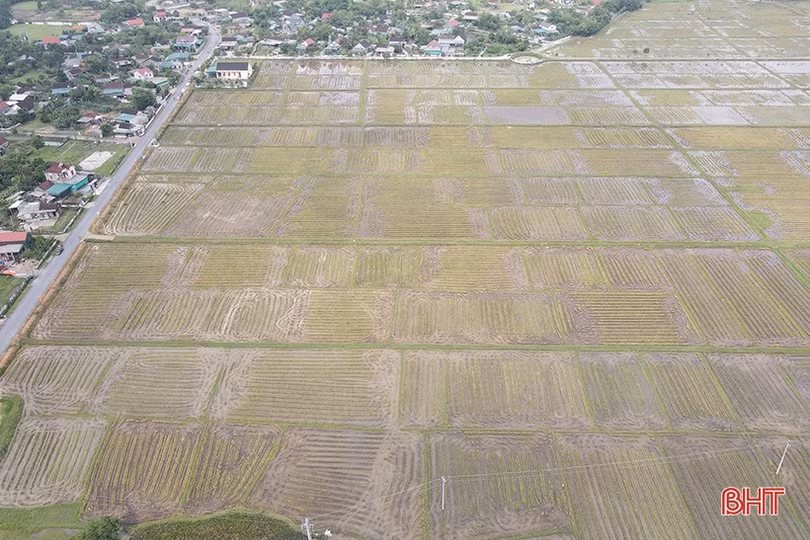 Hà Tĩnh tăng cường quản lý mặt bằng cao tốc Bắc - Nam sau chi trả tiền đền bù