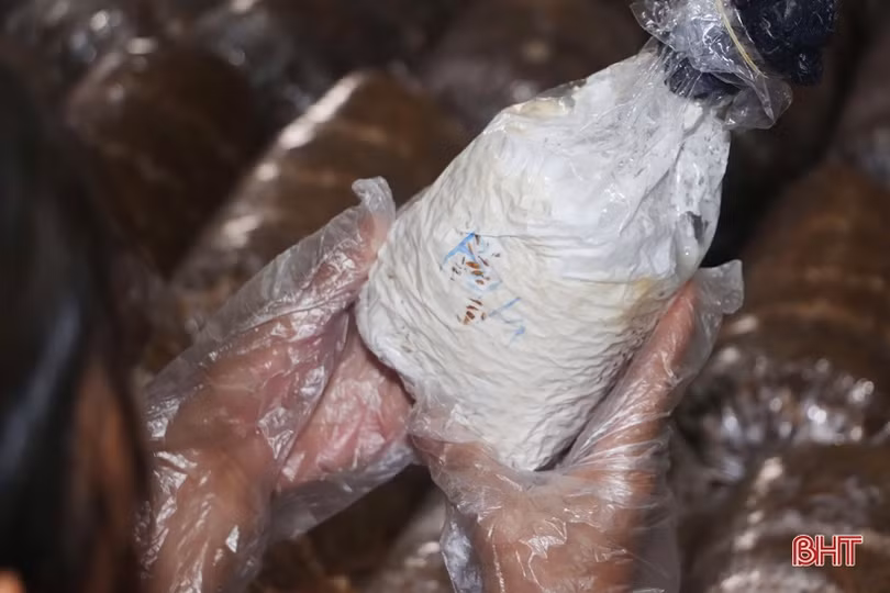 Mạnh dạn đầu tư, cơ sở của bà Sen mỗi năm cung cấp ra thị trường gần 15 tấn nấm