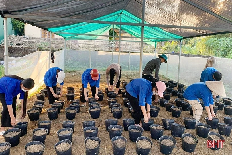 Thanh niên Hà Tĩnh sôi nổi chào mừng Ngày truyền thống Hội LHTN Việt Nam