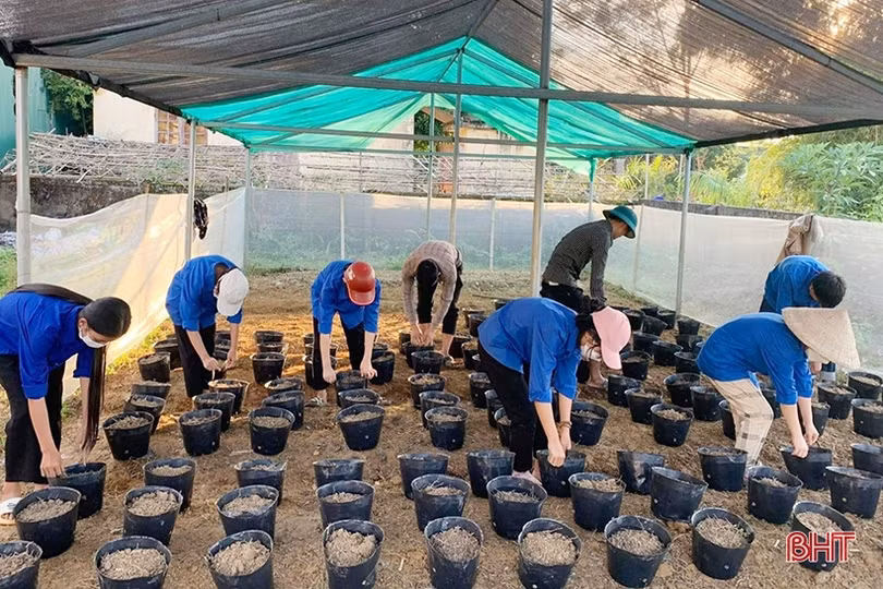 Thanh niên Hà Tĩnh sôi nổi chào mừng Ngày truyền thống Hội LHTN Việt Nam