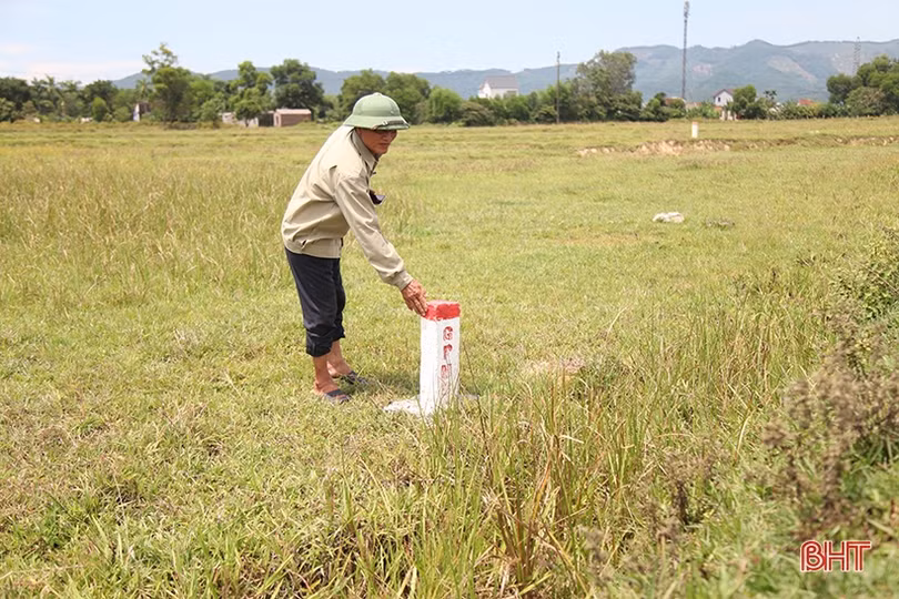 Hà Tĩnh tăng cường quản lý mặt bằng cao tốc Bắc - Nam sau chi trả tiền đền bù
