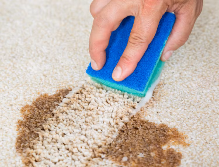 12 mẹo sử dụng chất tẩy rửa không hỏng đồ đạc