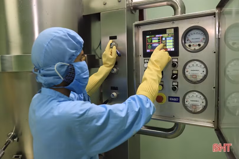 Sâm nhung mật ong - sản phẩm công nghiệp nông thôn tiêu biểu Hà Tĩnh