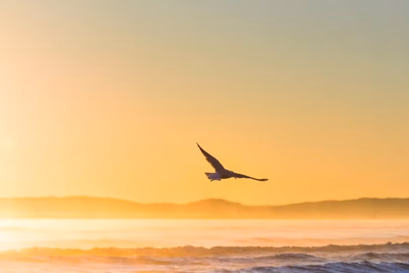 Người đàn bà soi gương