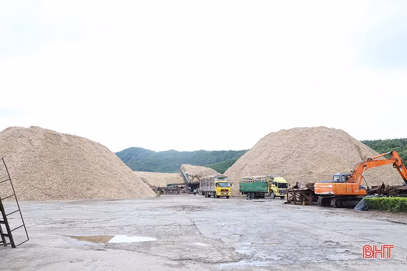 Xuất khẩu dăm gỗ Hà Tĩnh mang về hơn 99 triệu USD