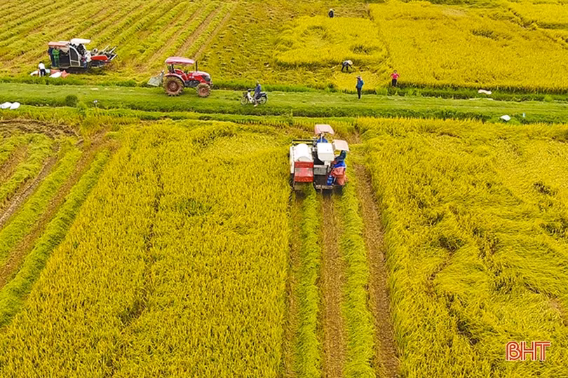 Thấm sâu nghĩa đồng bào