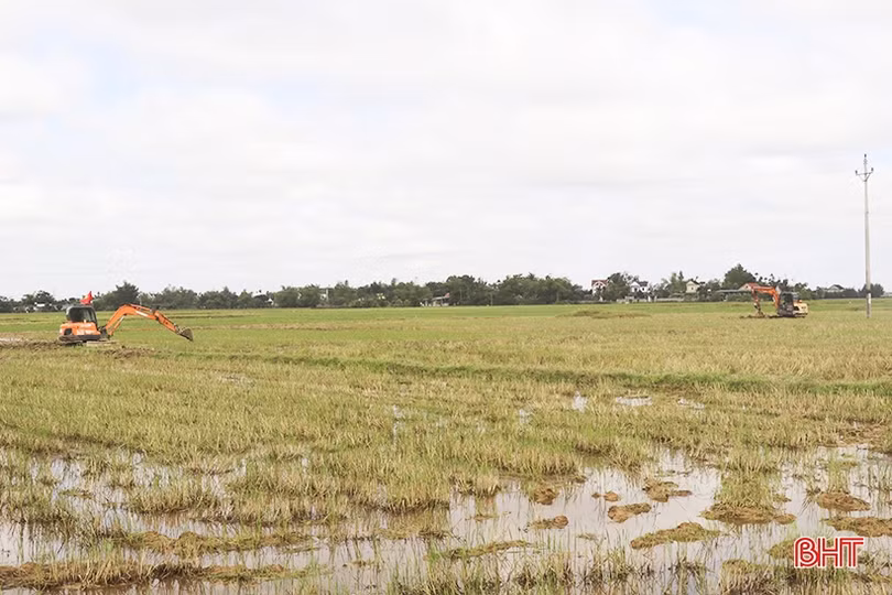 Can Lộc quyết tâm tập trung ruộng đất hơn 1.300 ha trong vụ xuân 2023