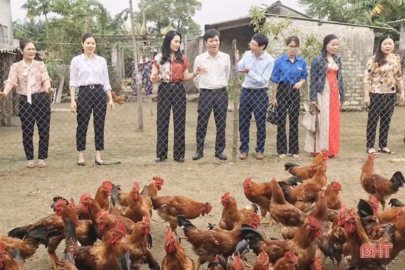 Phụ nữ Nghi Xuân giúp nhau đầu tư phát triển kinh tế gia đình