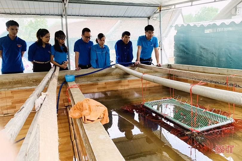 Phát động Ngày thanh niên Hà Tĩnh cùng hành động năm 2022