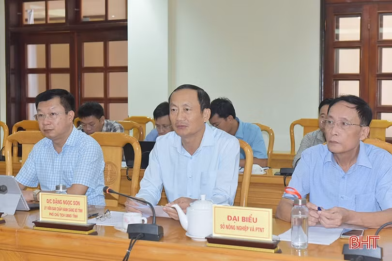 Hỗ trợ nông dân Hà Tĩnh nâng cao năng suất và chất lượng vườn cam bằng công nghệ cao từ Israel